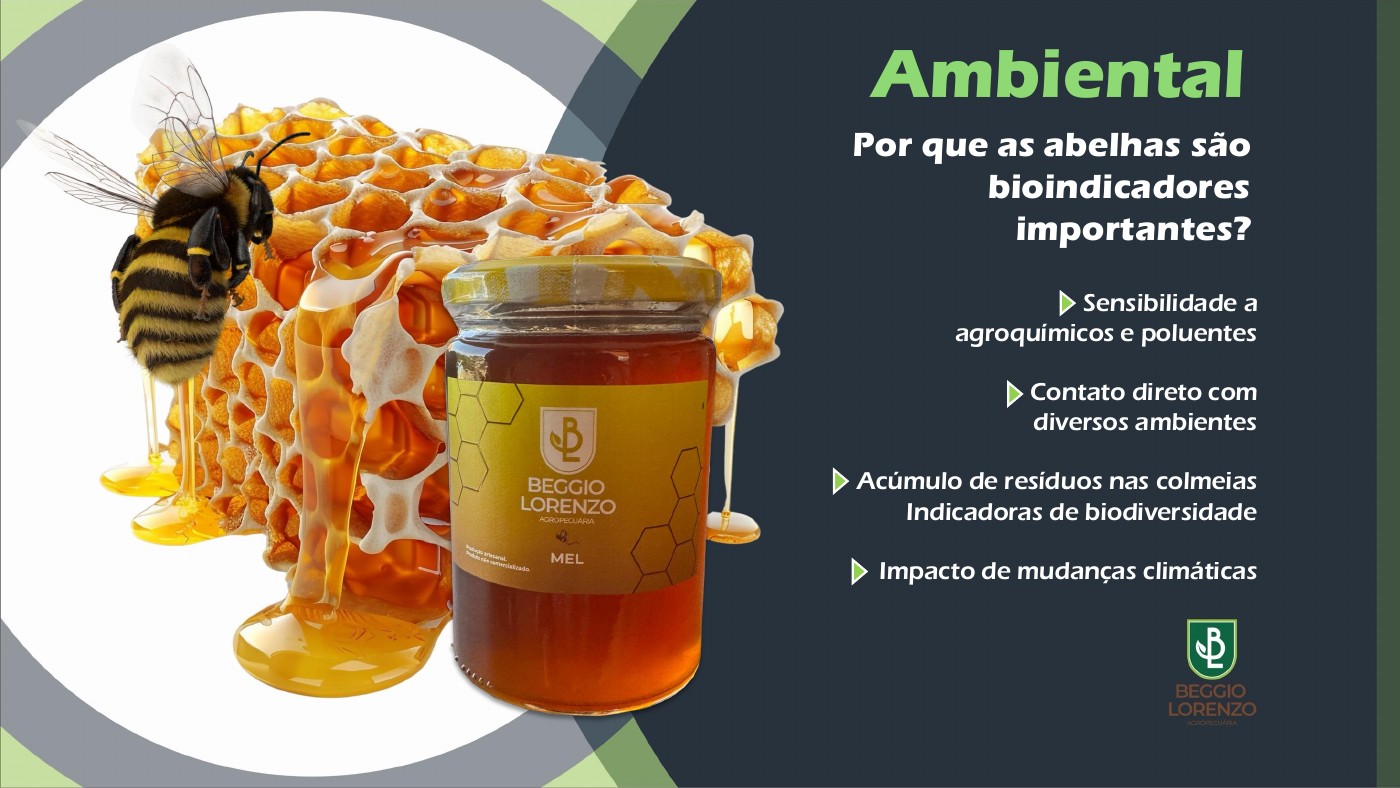 Abelhas e bioindicadores — apresentação Beggio Lorenzo